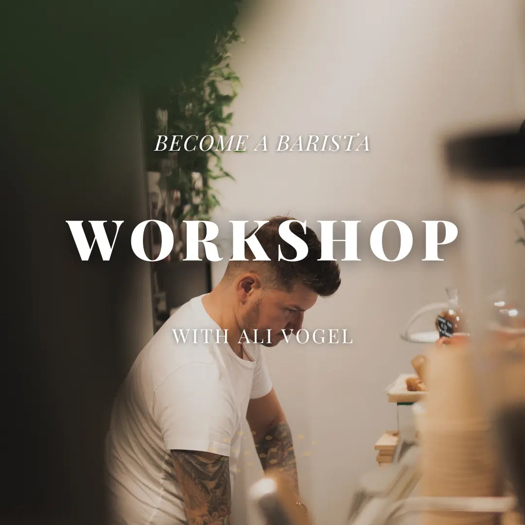 Barista Workshop Vogel Kaffee